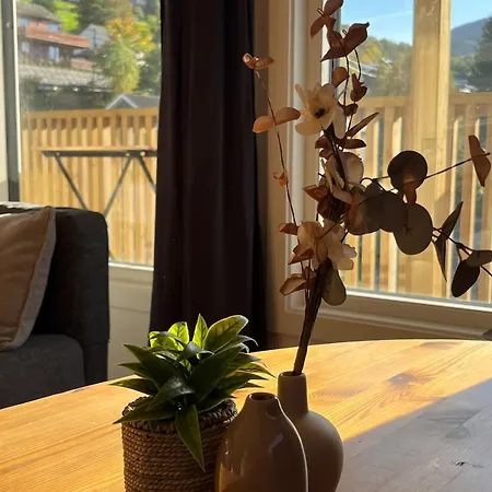 - Comfort - Newly Renovated - Spacious Voss